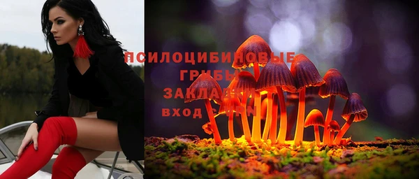mdpv Коряжма