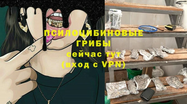 прущие грибы Краснослободск