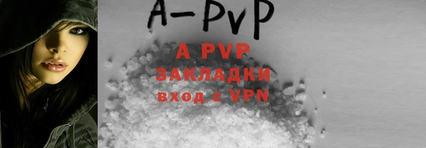 прущие грибы Краснослободск