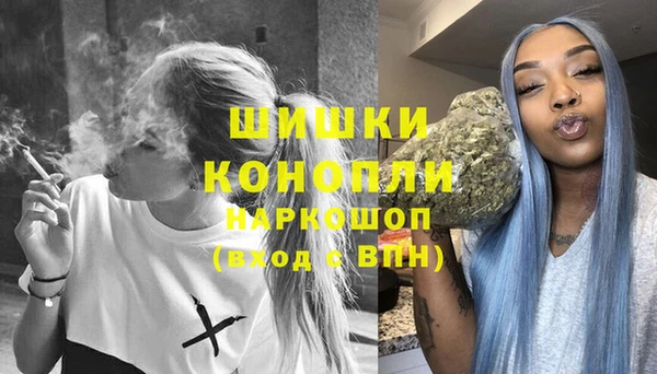сатива Костерёво