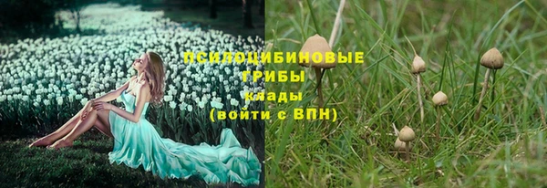 гашик Краснотурьинск