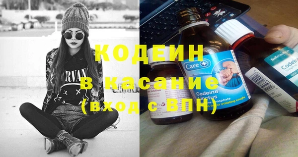 сатива Костерёво