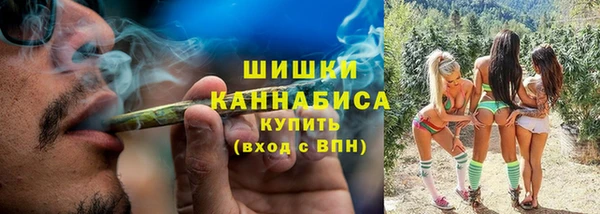 сатива Костерёво