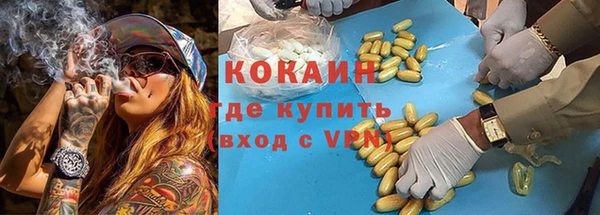 сатива Костерёво