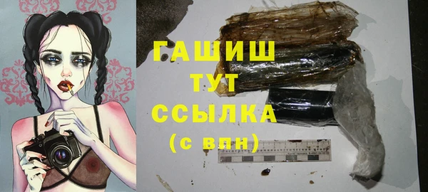 прущие грибы Краснослободск