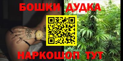 крисы Краснодар