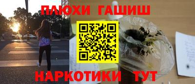 крисы Краснодар