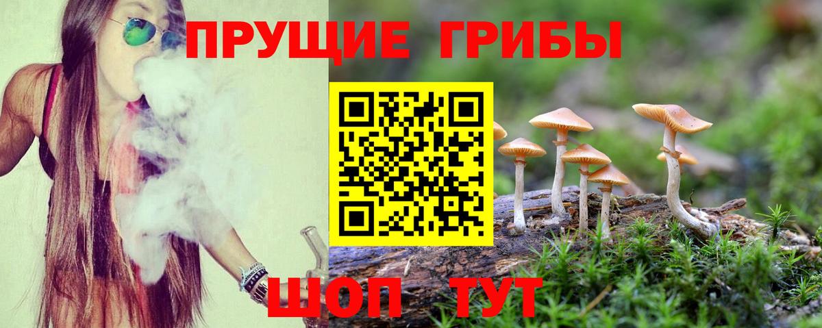 Псилоцибиновые грибы MAGIC MUSHROOMS  Вход с VPN  Псилоцибиновые грибы Psilocybine cubensis  купить наркотик  Солнечногорск 
